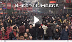 Sheer Numbers